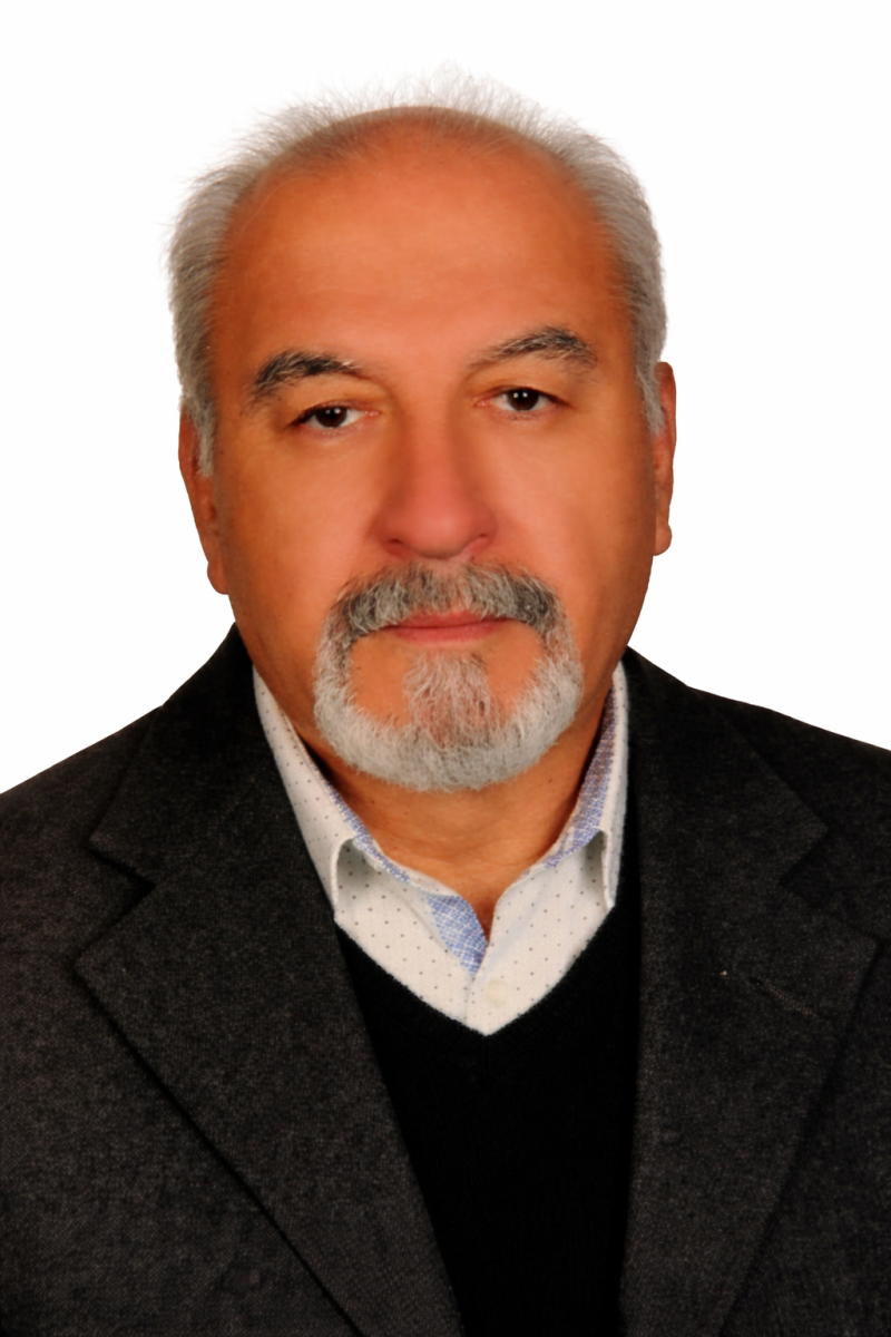 MEHMET ÇELİK